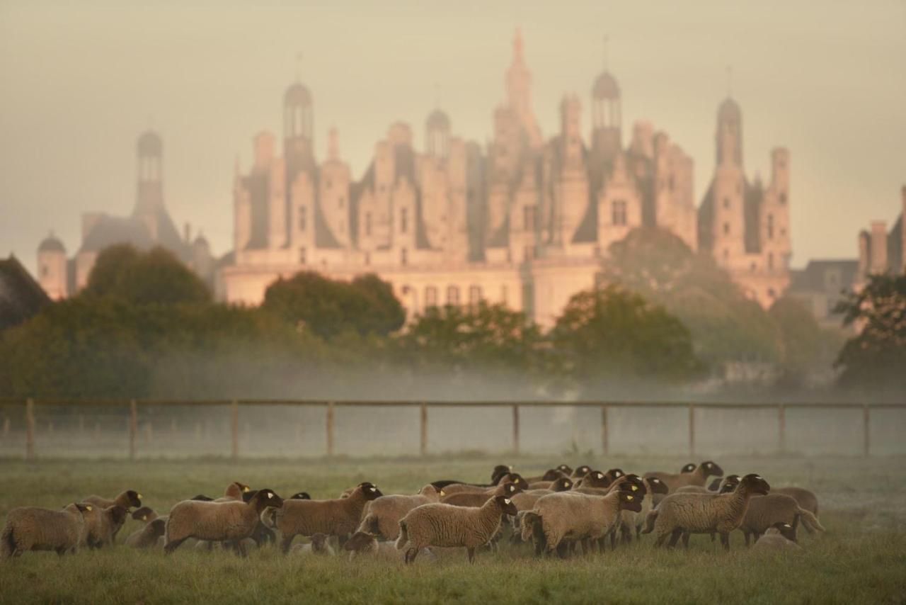 Maison Moz Fontaines-en-Sologne 外观 照片