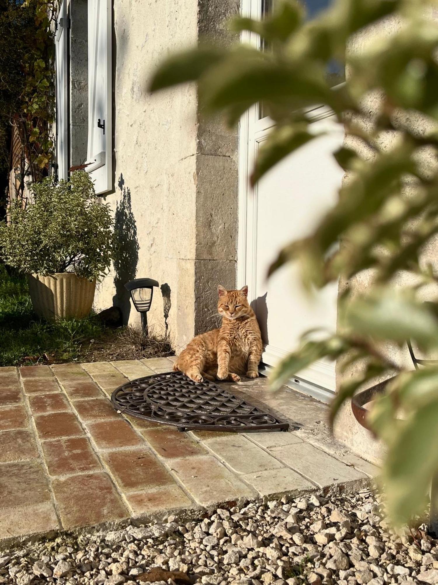 Maison Moz Fontaines-en-Sologne 外观 照片